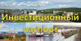 Инвестиционный паспорт